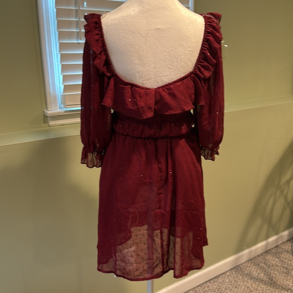 Row A NWT maroon Swiss dot mini dress size large - Picture 4 of 5